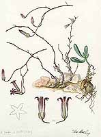  no thumbnail available