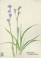  no thumbnail available