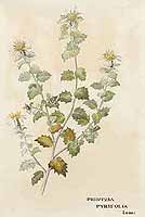  no thumbnail available