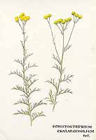  no thumbnail available