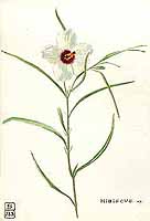  no thumbnail available