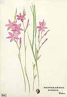  no thumbnail available