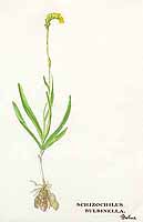  no thumbnail available