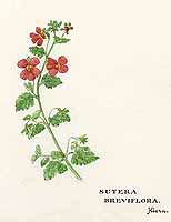  no thumbnail available