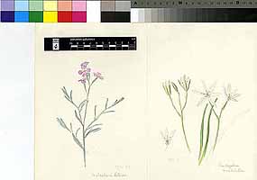  no thumbnail available