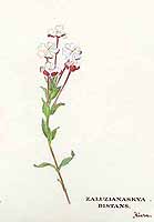  no thumbnail available