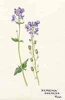  no thumbnail available