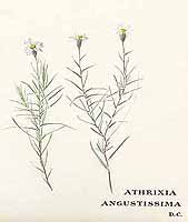  no thumbnail available