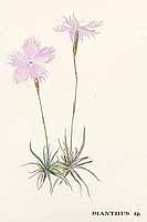  no thumbnail available