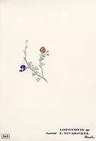  no thumbnail available