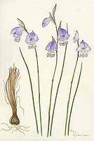  no thumbnail available