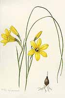  no thumbnail available