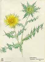  no thumbnail available