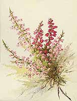  no thumbnail available