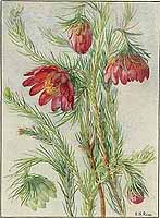  no thumbnail available