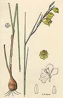  no thumbnail available