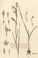  no thumbnail available