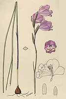  no thumbnail available