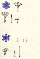  no thumbnail available