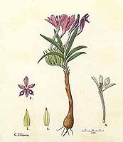  no thumbnail available