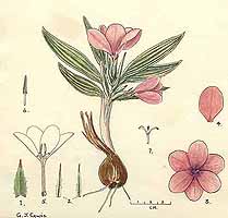  no thumbnail available