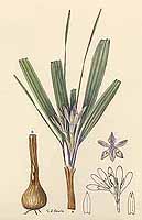  no thumbnail available