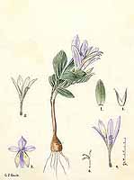  no thumbnail available