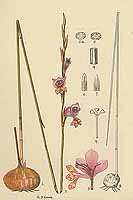  no thumbnail available