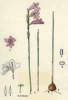  no thumbnail available