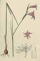  no thumbnail available