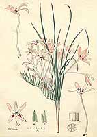  no thumbnail available