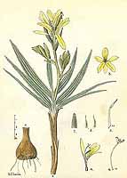  no thumbnail available