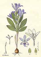  no thumbnail available