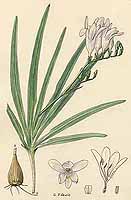  no thumbnail available