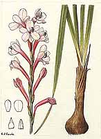  no thumbnail available