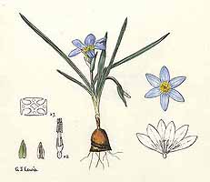  no thumbnail available