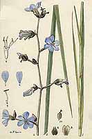  no thumbnail available