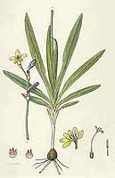  no thumbnail available