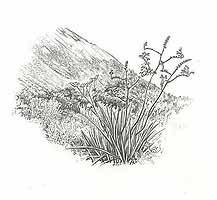  no thumbnail available