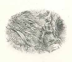  no thumbnail available