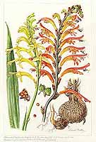  no thumbnail available