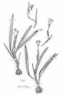  no thumbnail available