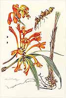  no thumbnail available