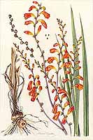  no thumbnail available