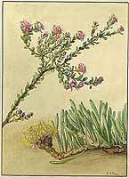  no thumbnail available