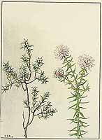  no thumbnail available