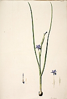  no thumbnail available