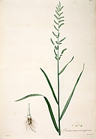  no thumbnail available