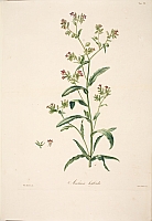  no thumbnail available