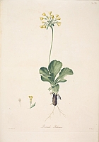  no thumbnail available